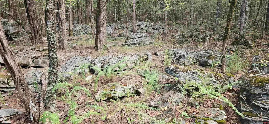 00 Cr 638, Mountain Home, AR 72653 - #3