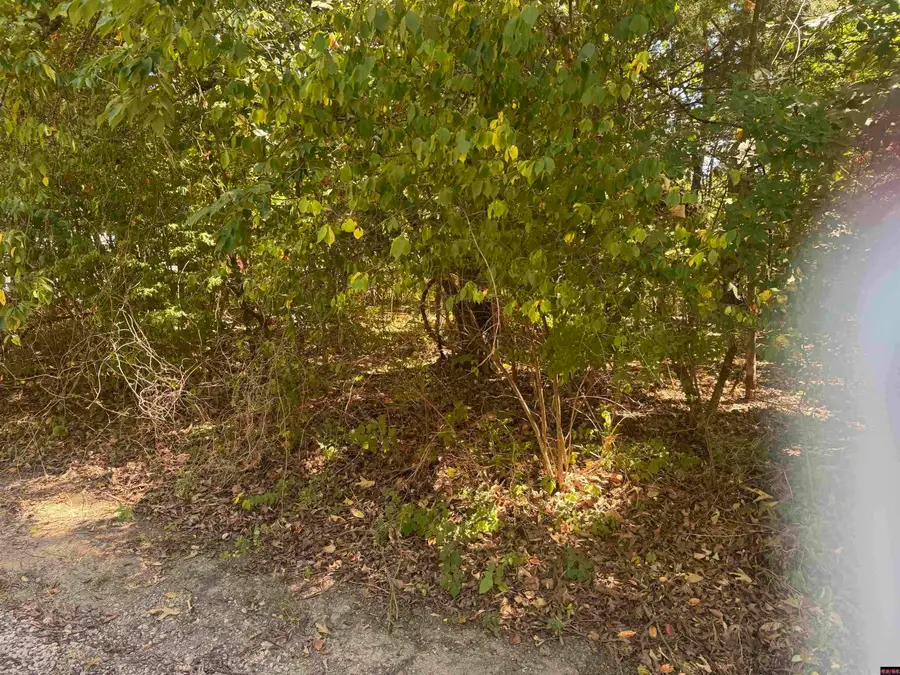 00 Mcdonald Meadows Parkway, Bull Shoals, AR 72619 - #2