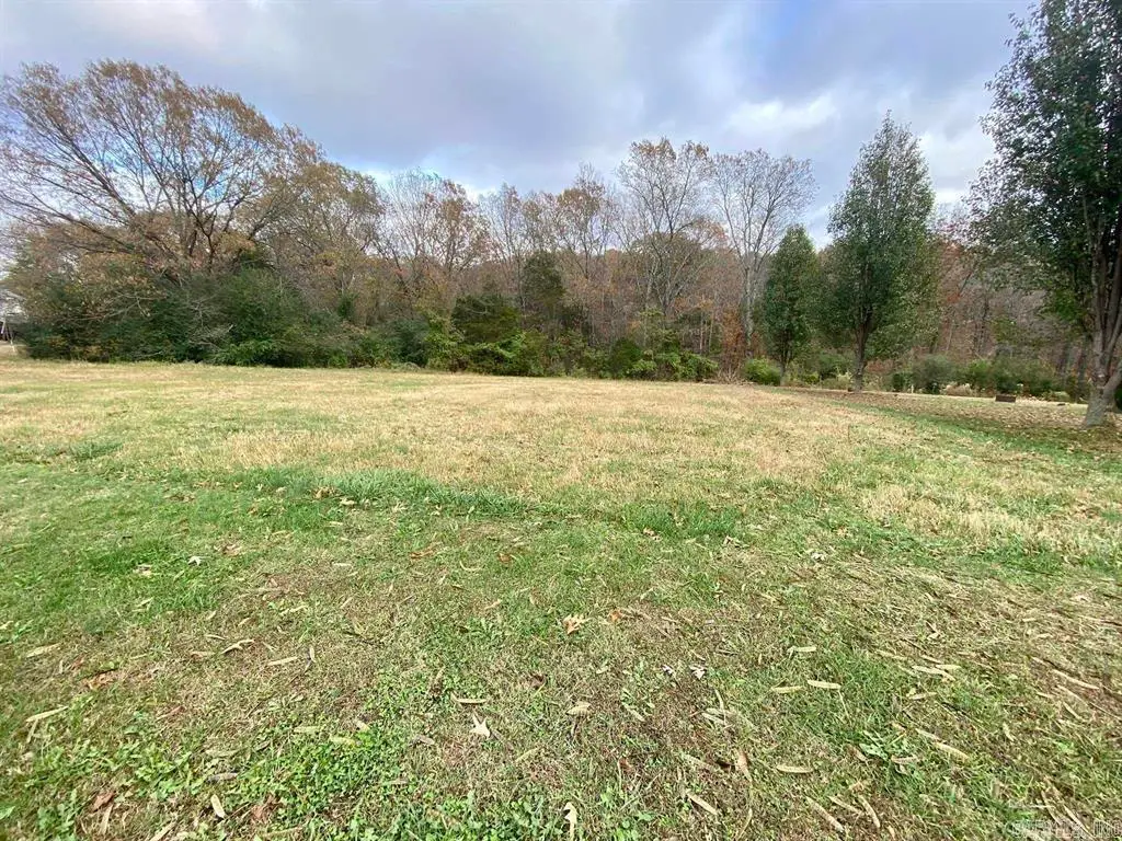 000 Vista Drive, Mountain View, AR 72560 - #1