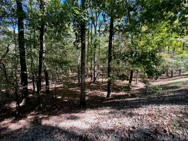 27 Trotter Lane, Little Rock, AR 72223 - #2