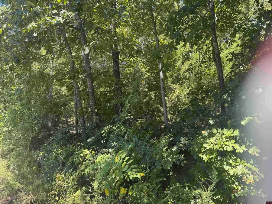 00 Lynette Ave, Bull Shoals, AR 72619 - #3