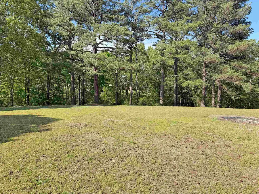 Lot 27 & 28 Tournament Dr., Mountain View, AR 72560 - #3