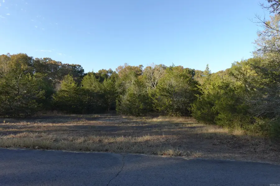 0 Primrose Lane, Greenbrier, AR 72058 - #2
