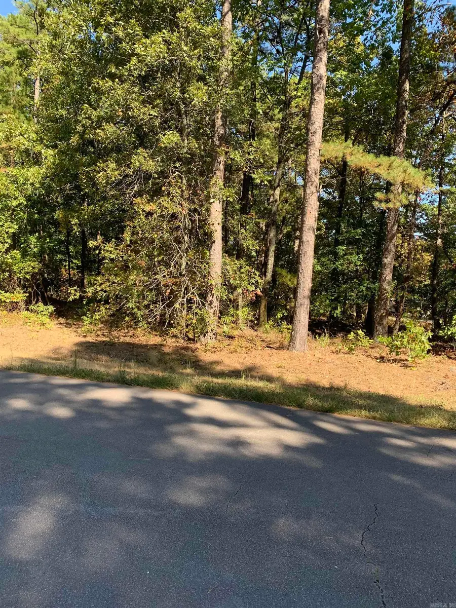5 Peral Lane, Hot Springs Village, AR 71909 - #2