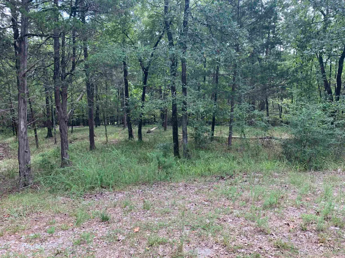 4 Ermalinda Lane, Hot Springs Village, AR 71909 - #1