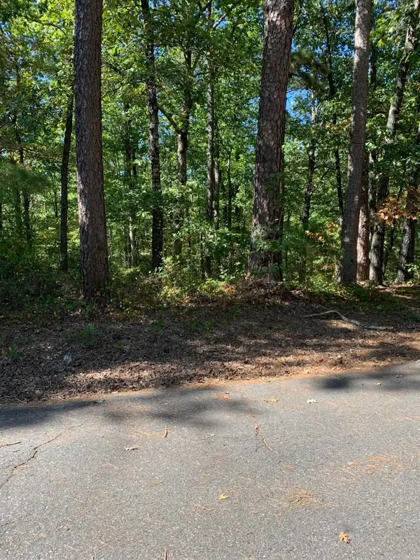 2 Fino Lane, Hot Springs Village, AR 71909