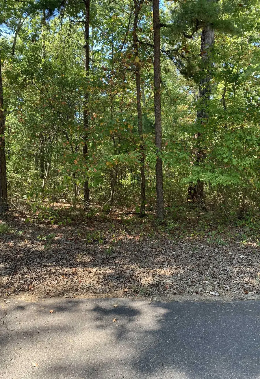 2 Fino Lane, Hot Springs Village, AR 71909 - #2
