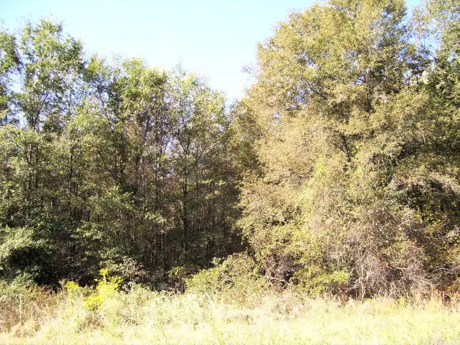 Address Withheld By Seller, Ashdown, AR 71822 - #2