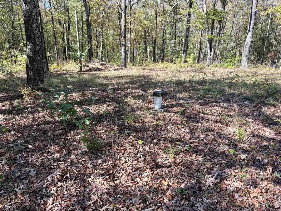 Address Withheld By Seller, Judsonia, AR 72081 - #3