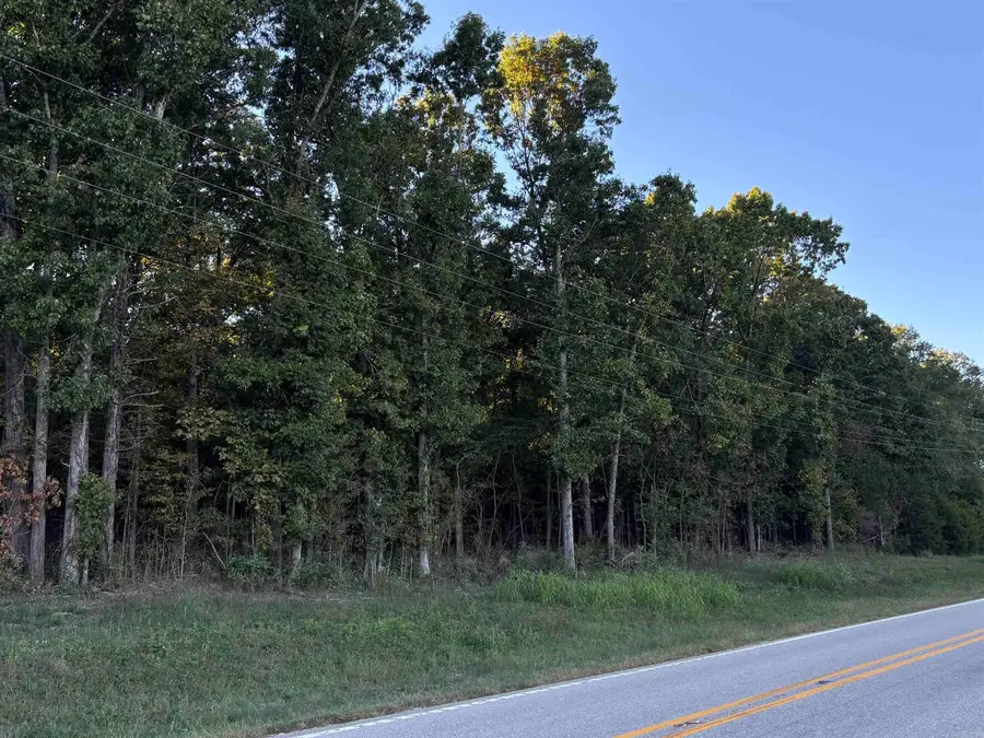 Hwy 115, Smithville, AR 72466 - #2