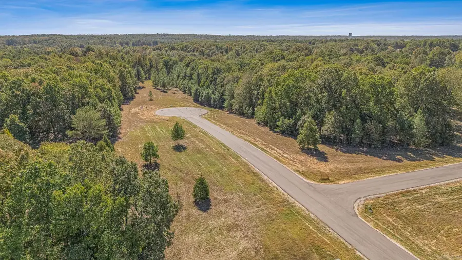 102 Finch Estates Drive, Paragould, AR 72450 - #3