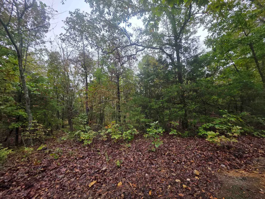L-7, B-4 Olustee Drive, Cherokee Village, AR 72529 - #2
