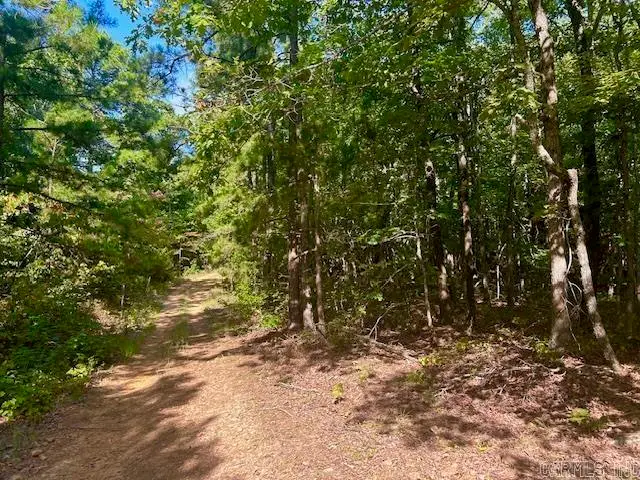 825 Piney Road, Shirley, AR 72153 - #3
