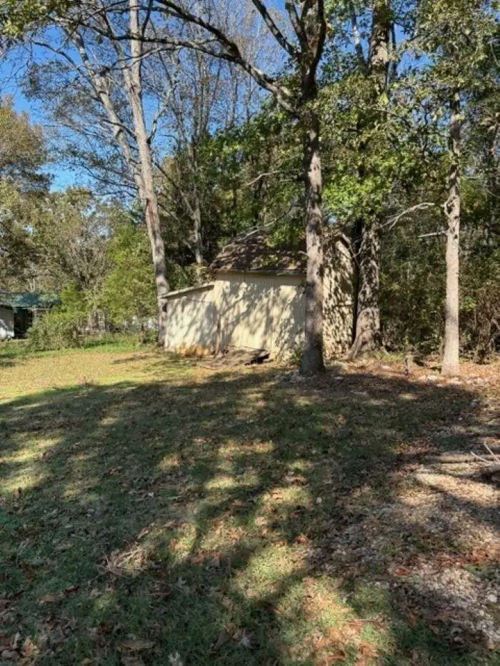 124 Cherokee Road, Cherokee Village, AR 72529 - #3