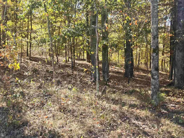 3251 Ohio Drive, Hot Springs, AR 71913