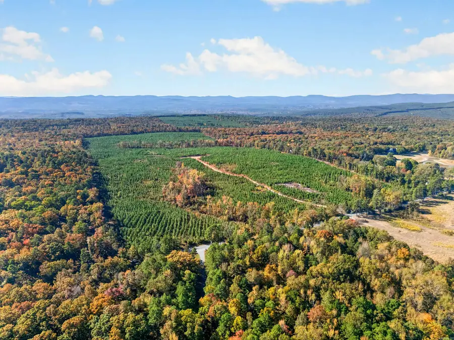 000 Underwood Rd Road, Bigelow, AR 72016 - #2