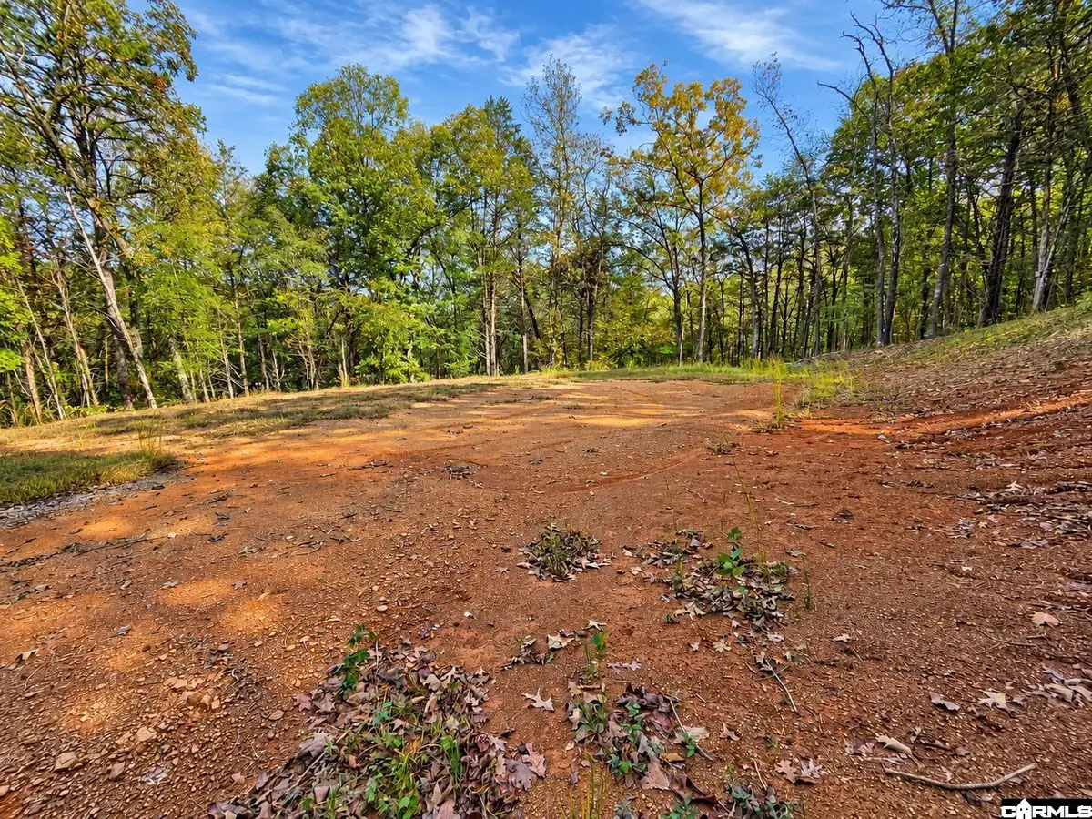 3601 Ponderosa Lane, Ozark, AR 72949 - #1