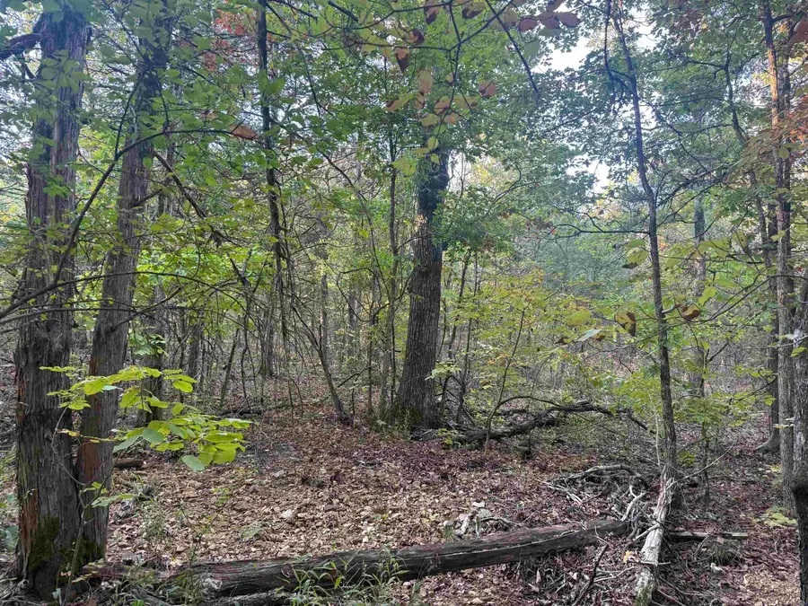 TBD 56 Highway, Poughkeepsie, AR 72569 - #2