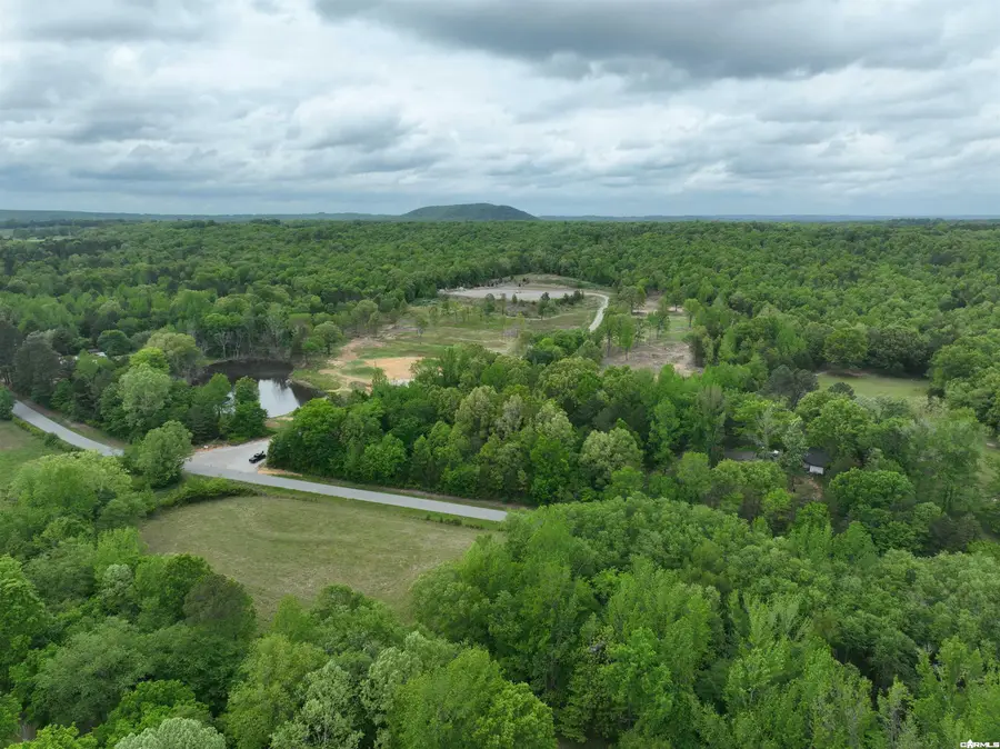 195 Old Springfield Dr, Quitman, AR 72131 - #3