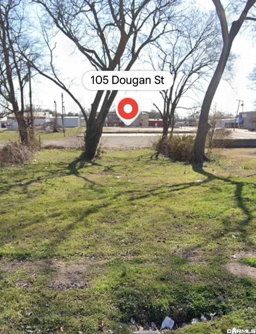 105 Dougan Street, Blytheville, AR 72315 - #2