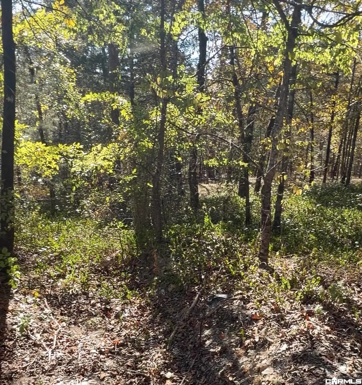 8 Paella Lane, Hot Springs Village, AR 71909 - #1
