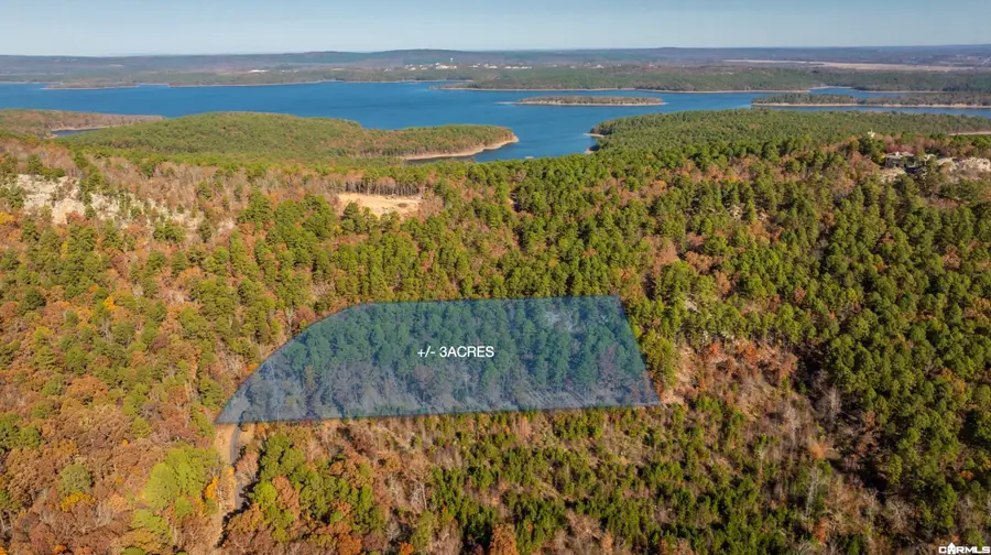 TBD Old Arkansas Drive, Roland, AR 72135 - #2