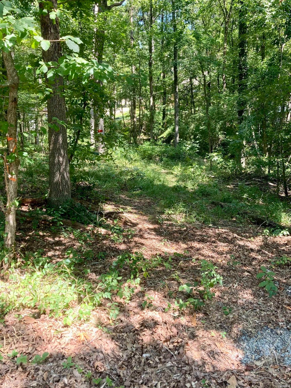 xxxx Akers Road, Hot Springs, AR 71901 ERA