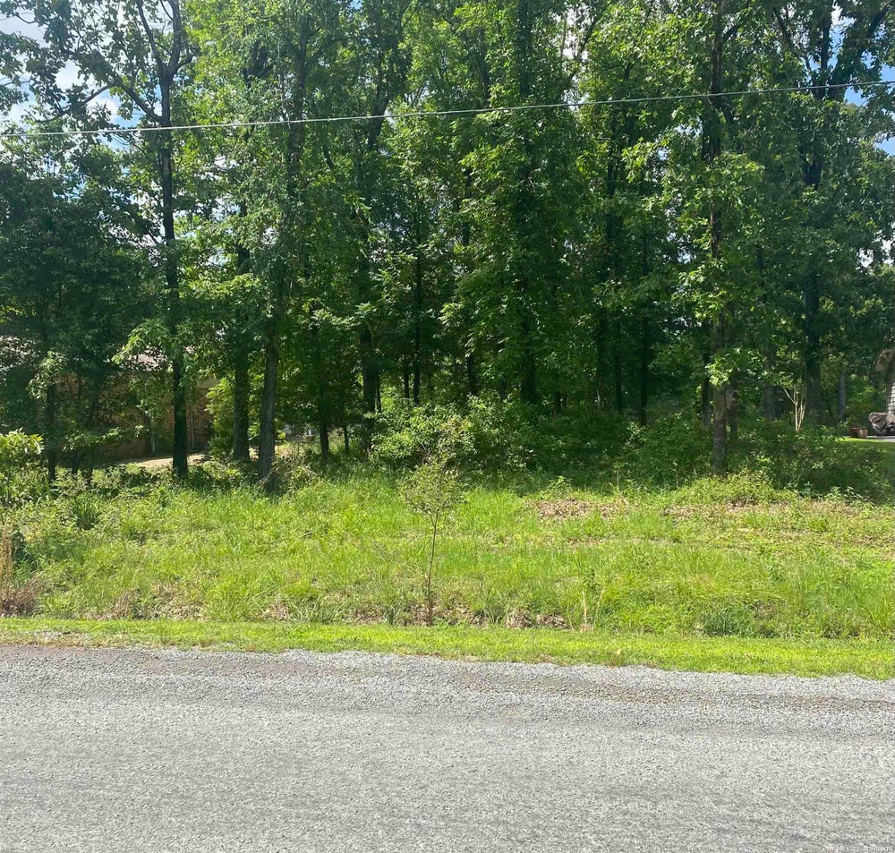 Lot 1570 Diamondhead Drive, Hot Springs, AR 71913 ERA
