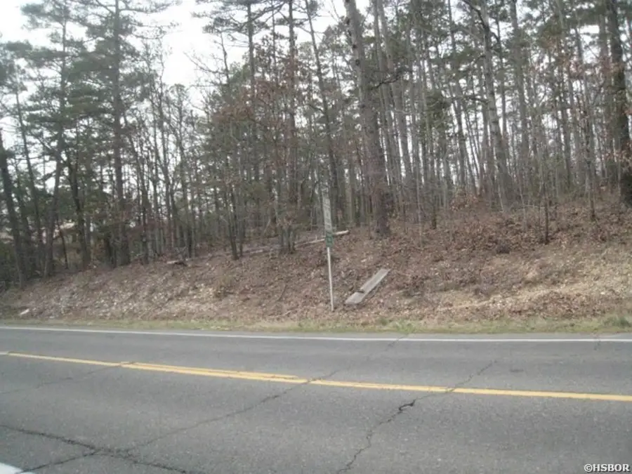 XX Park Avenue, Hot Springs, AR 71901 - Image #3