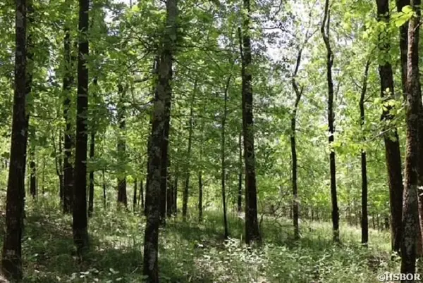 180 Hickory Hill Terrace, Hot Springs, AR 71913