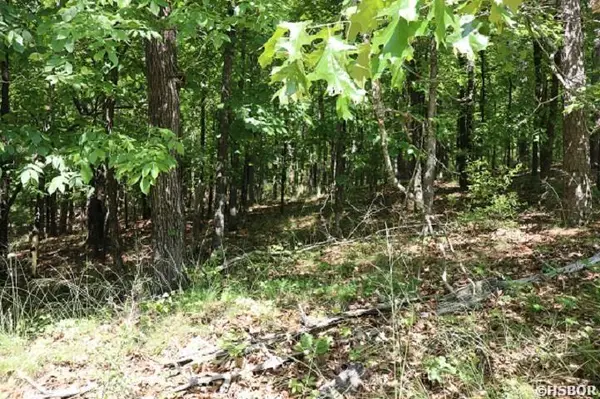 160 Tam O Shanter Court, Hot Springs, AR 71913