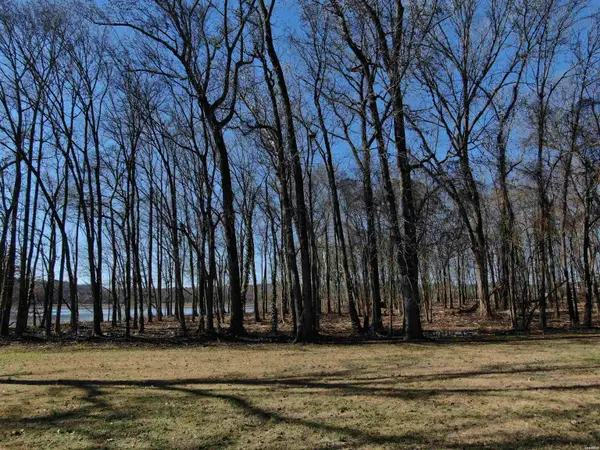 xxx Rivermist Point, Hot Springs, AR 71901