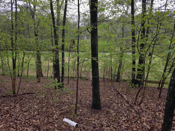 Lot 1585A Diamondhead Drive, Hot Springs, AR 71913