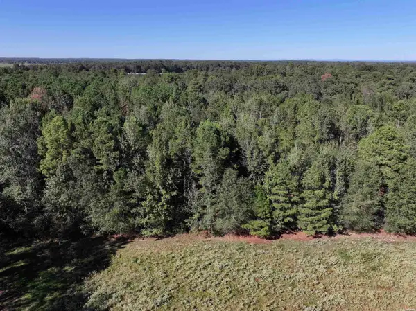 XXX Central Road, Horatio, AR 71842