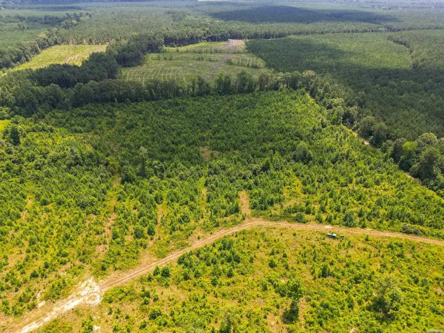 Old Warren Road, Monticello, AR 71655 - Image #2