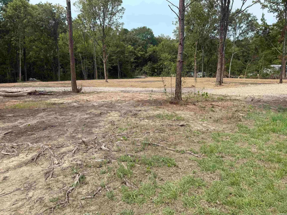 00 Mountain Pine, Hot Springs, AR 71913 - #1