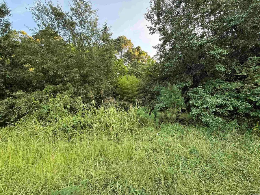 00 Mountain Pine, Hot Springs, AR 71913 - #3