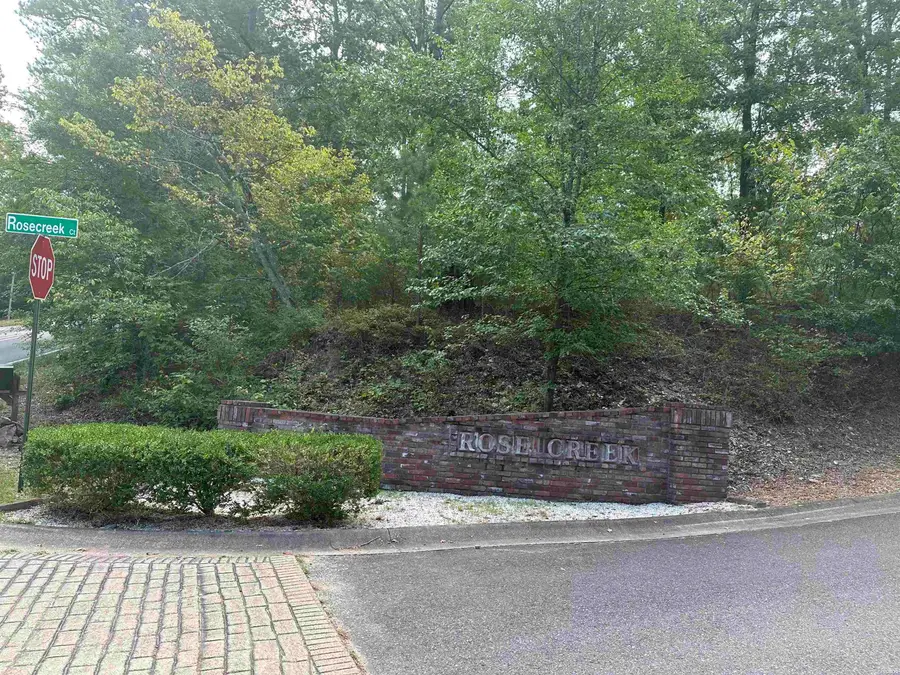 Lot 19 Rose Creek Place, Hot Springs, AR 71913 - Image #2