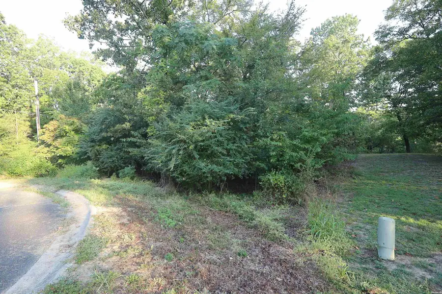 Lot 21 Rose Creek Place, Hot Springs, AR 71913 - #3