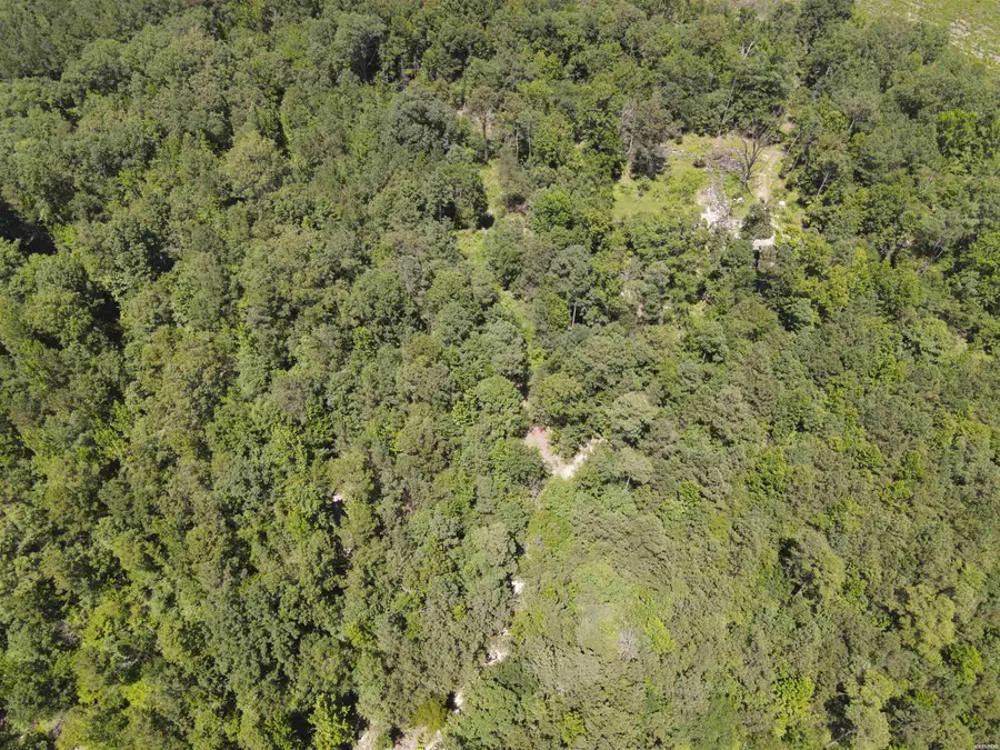 00 Chicot Trail, Bismarck, AR 71929 - Image #2