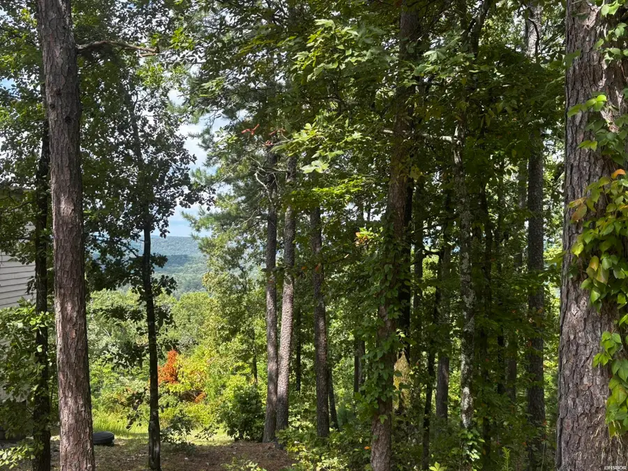 142 E Villena Drive, Hot Springs Village, AR 71909 - #2