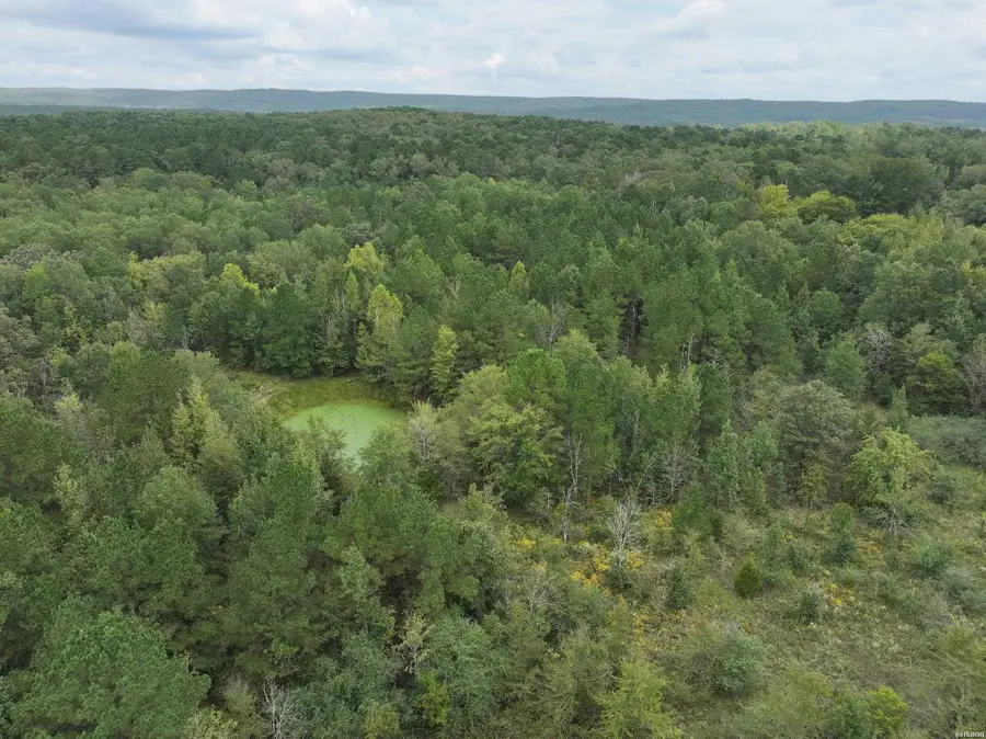 XXX Henshaw Road, Bismarck, AR 71929 - Image #2