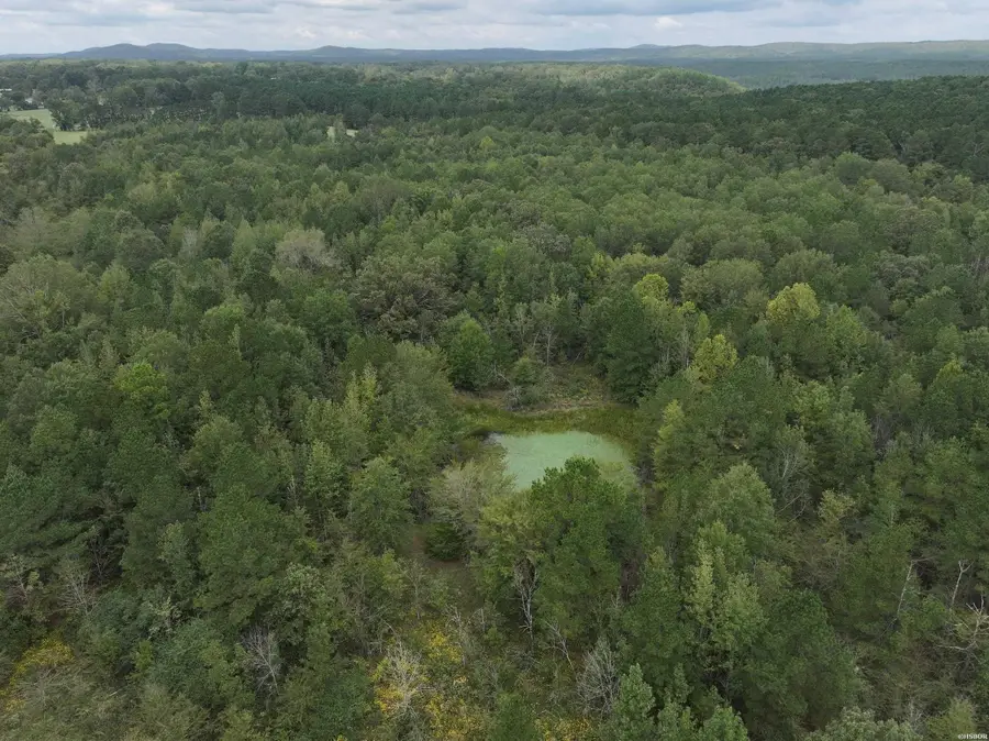 XXX Henshaw Road, Bismarck, AR 71929 - Image #3