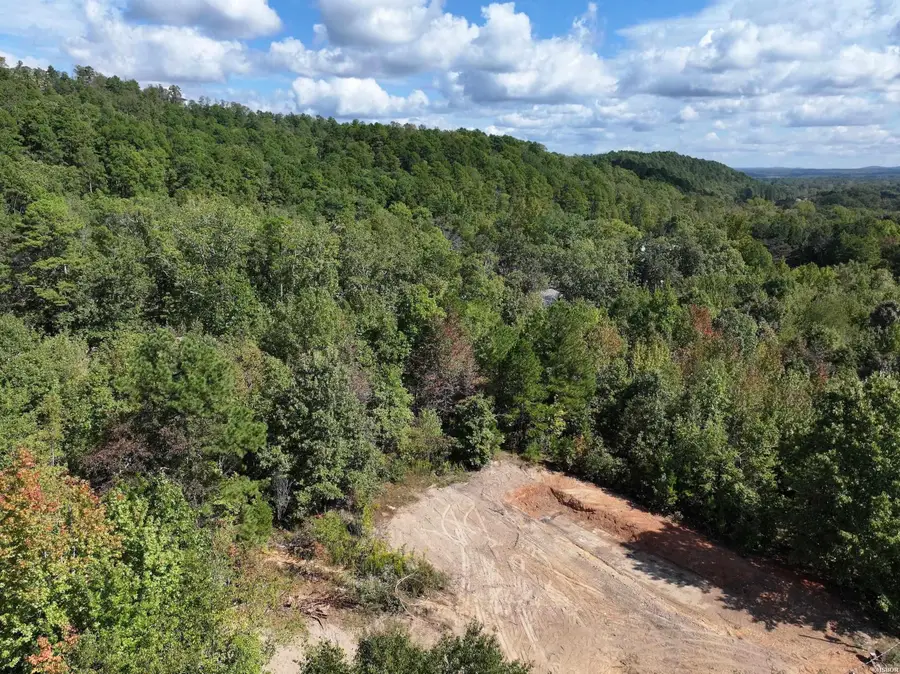 168 Ulcer Acres Lane, Hot Springs, AR 71913 - Image #2