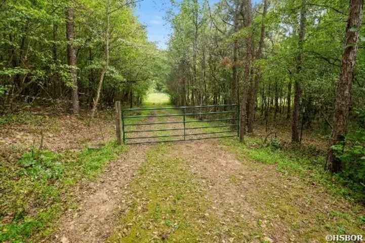 184 Peaceful Place Road, Caddo Gap, AR 71935 - #1