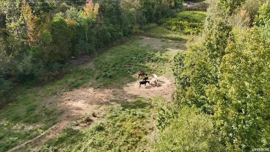 184 Peaceful Place Road, Caddo Gap, AR 71935 - #3