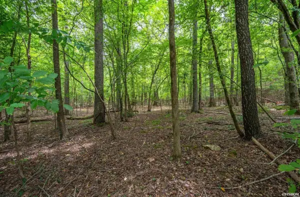 Lot 2 Baja Court, Hot Springs Village, AR 71909
