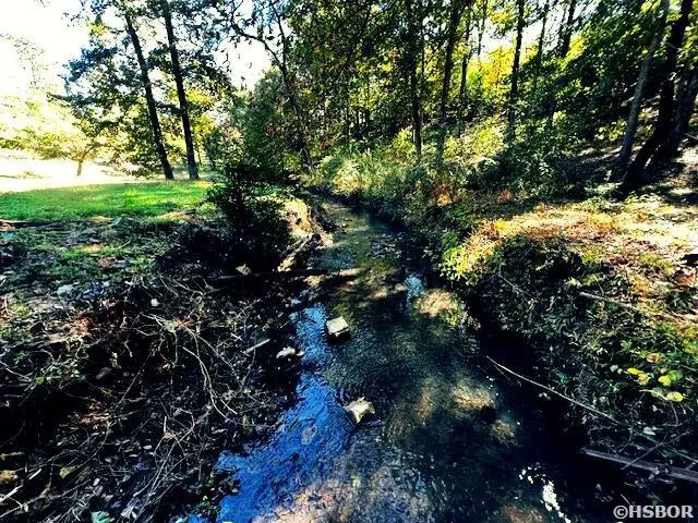 314 Marion Anderson Road, Hot Springs, AR 71913 - Image #2