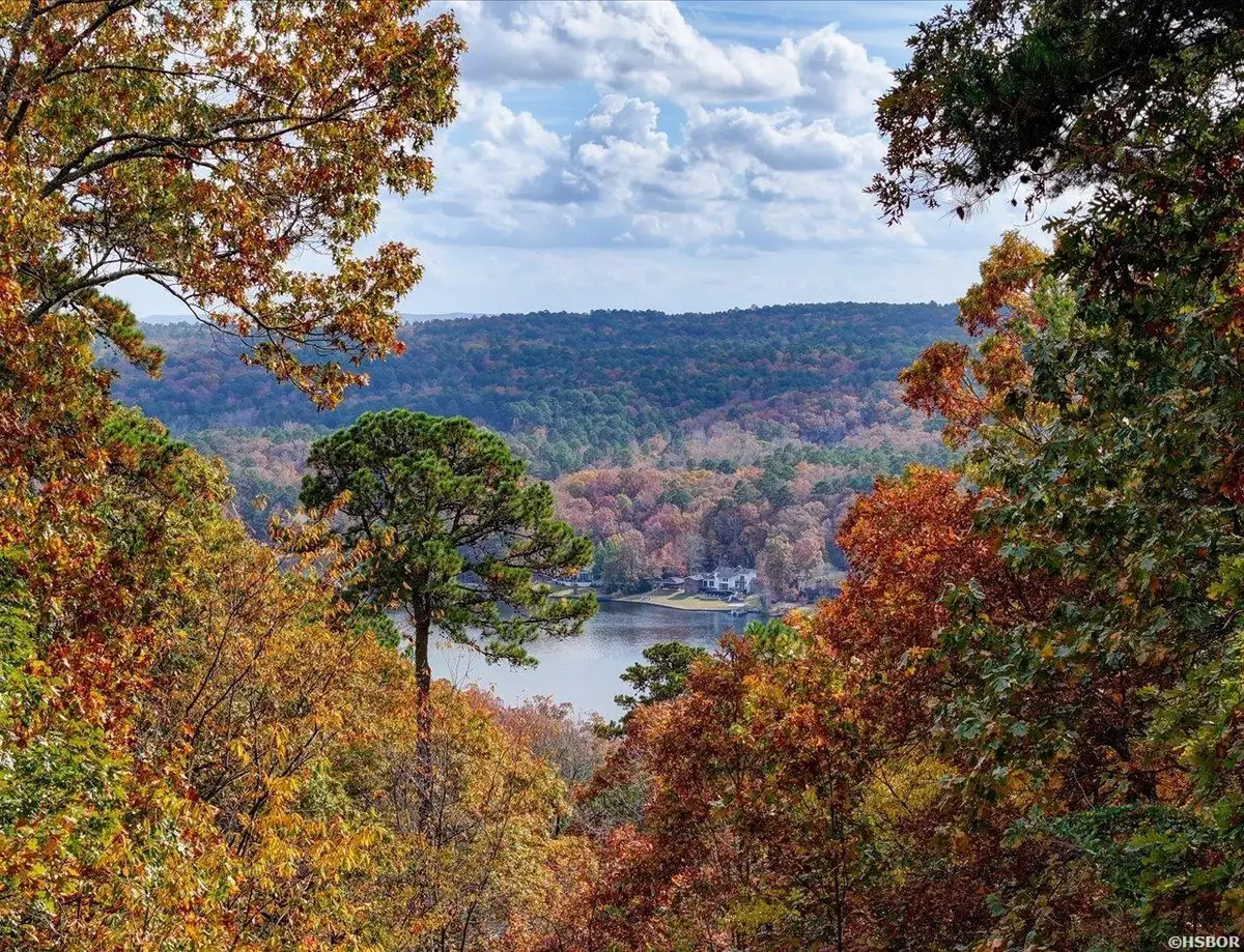 9 Sur Lane, Hot Springs Village, AR 71909 - Image #1