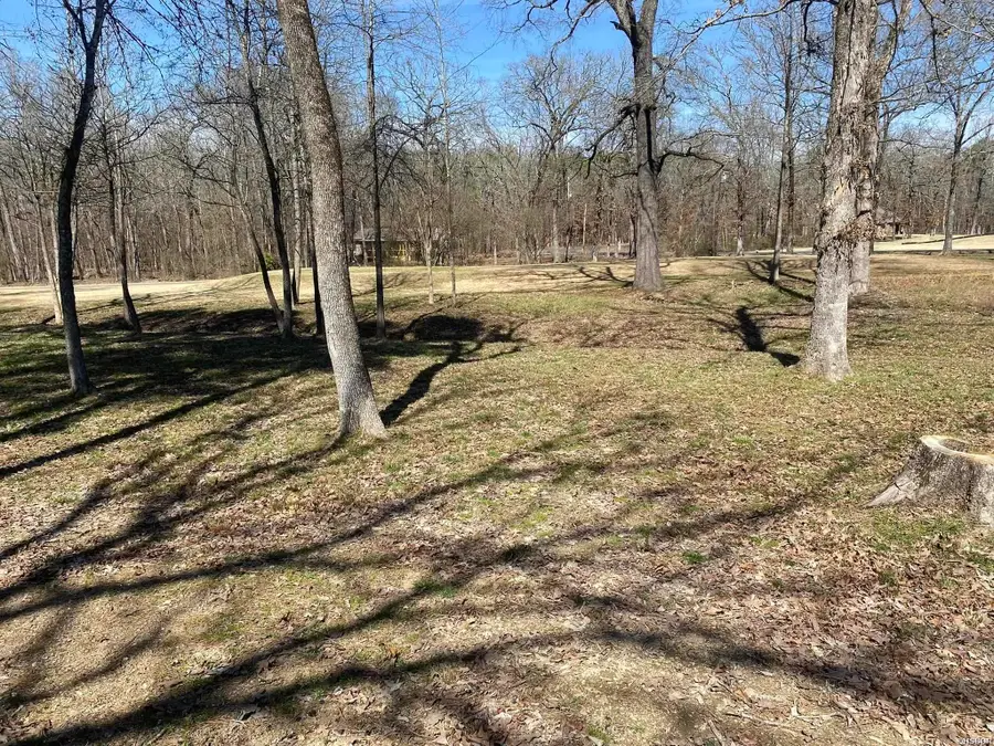 Lot 1704A Pebble Beach Court, Hot Springs, AR 71913 - #3